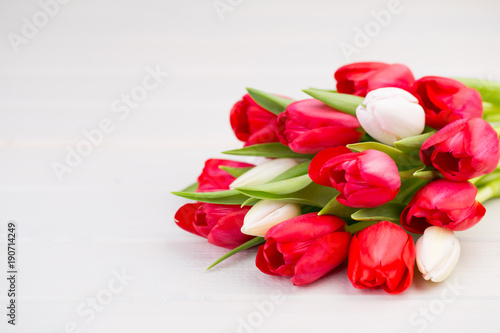 Springt time. Red tulip bouquet on the white wooden background.