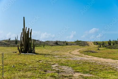 The arid nature of Aruba. Caribbean landscape. photo