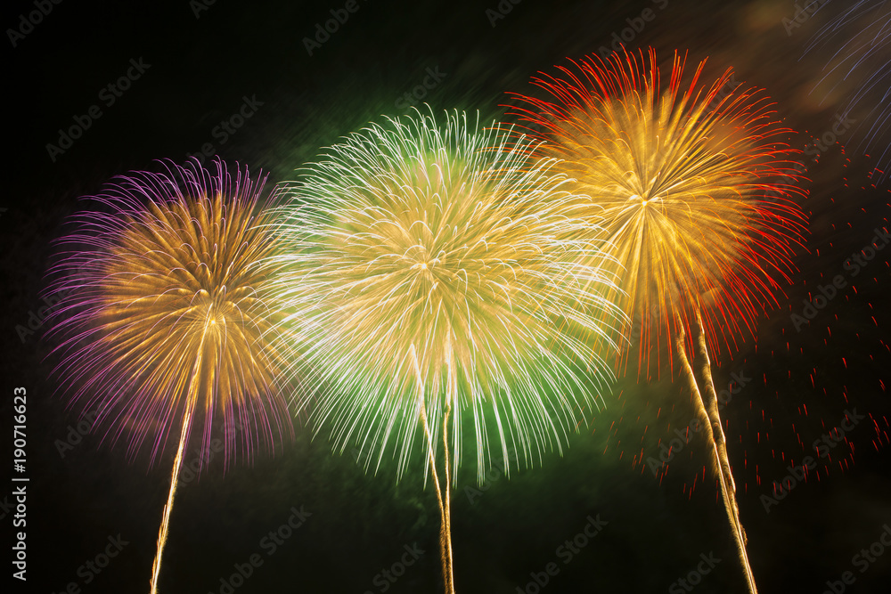 Fireworks over the Sea at the Kashiwazaki Festival Fireworks over the Sea at the Kashiwazaki Festival