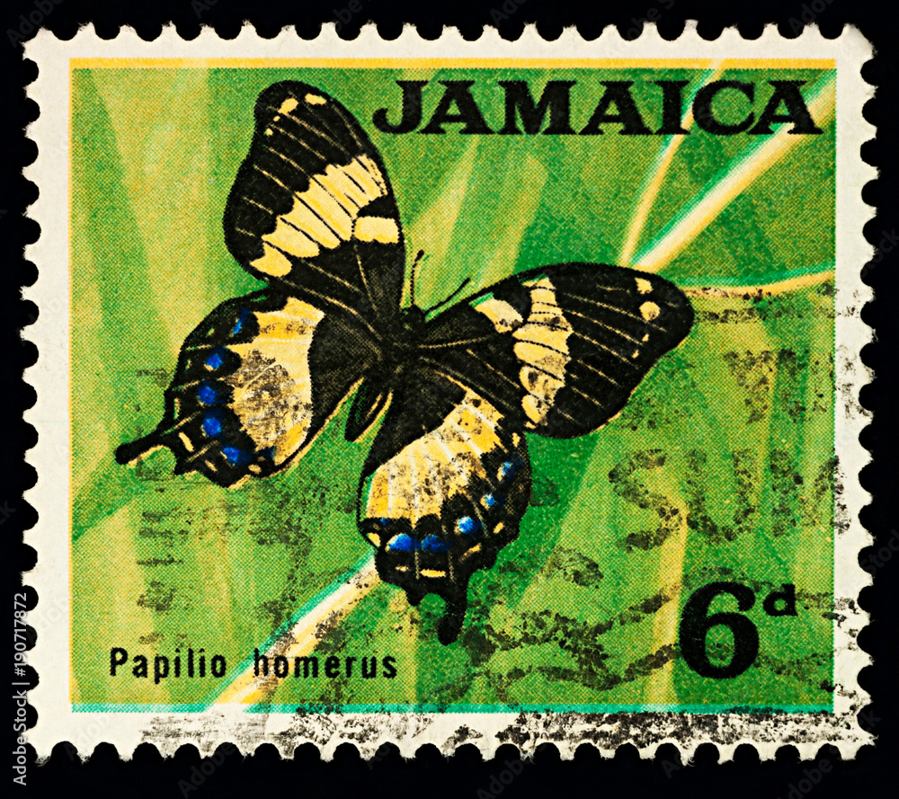 Fototapeta premium Jamajski Giant Swallowtail na znaczku pocztowym
