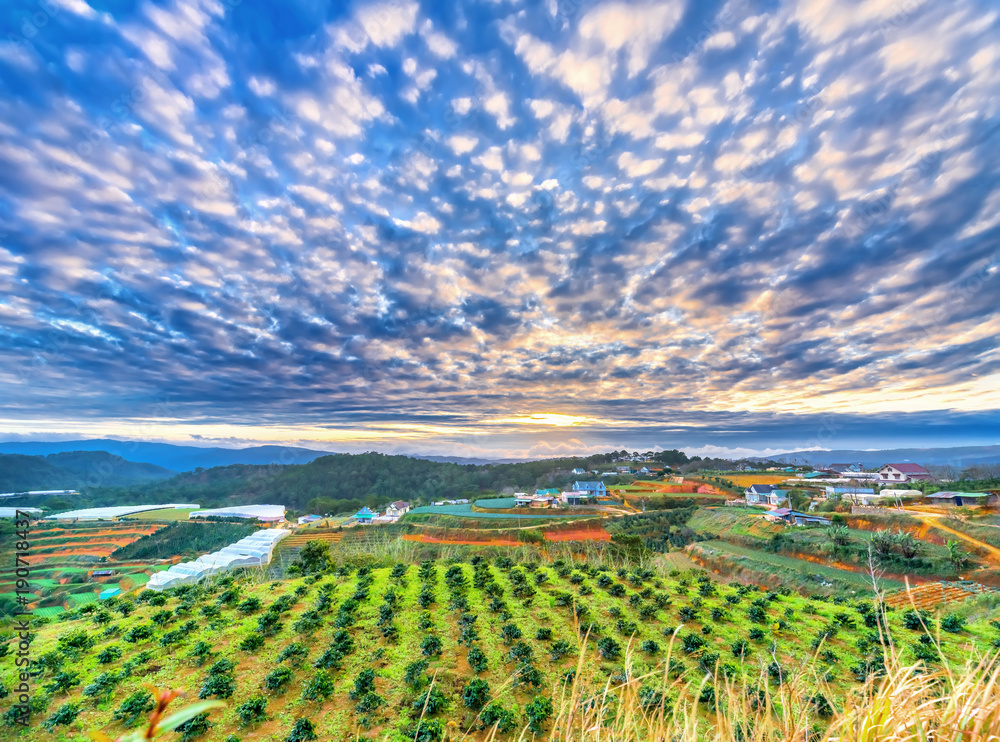 Sunrise from above looks down on a peaceful rural village on the top of hilltop plateau with terraced vegetable gardens and flowering greenhouses, above the impressive cloud sky welcoming the new day