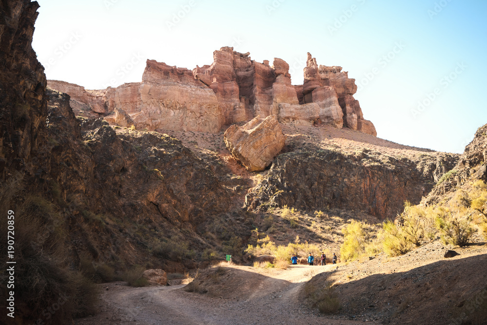 Scenic view inside Charyn canyon. Beautiful tree.