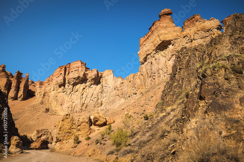 Scenic view inside Charyn canyon. Beautiful tree.