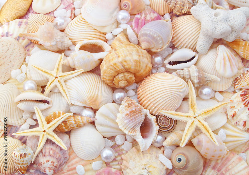 Seashells, pearls and starfishes as background Seashells, pearls and starfishes as background