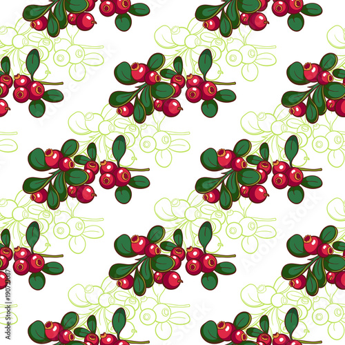 Seamless Pattern Cowberry