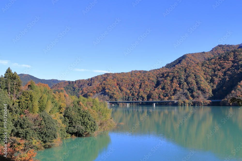 宮ヶ瀬湖の紅葉風景