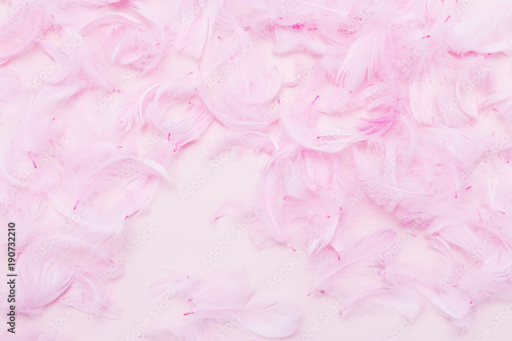 Fototapeta premium Pink feathers on paper background