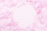 Pink feathers on paper background