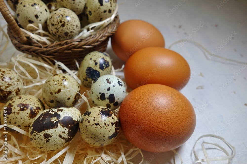 Obraz premium Quail eggs and chicken eggs - Easter composition.Easter Tradition - Selective focus 