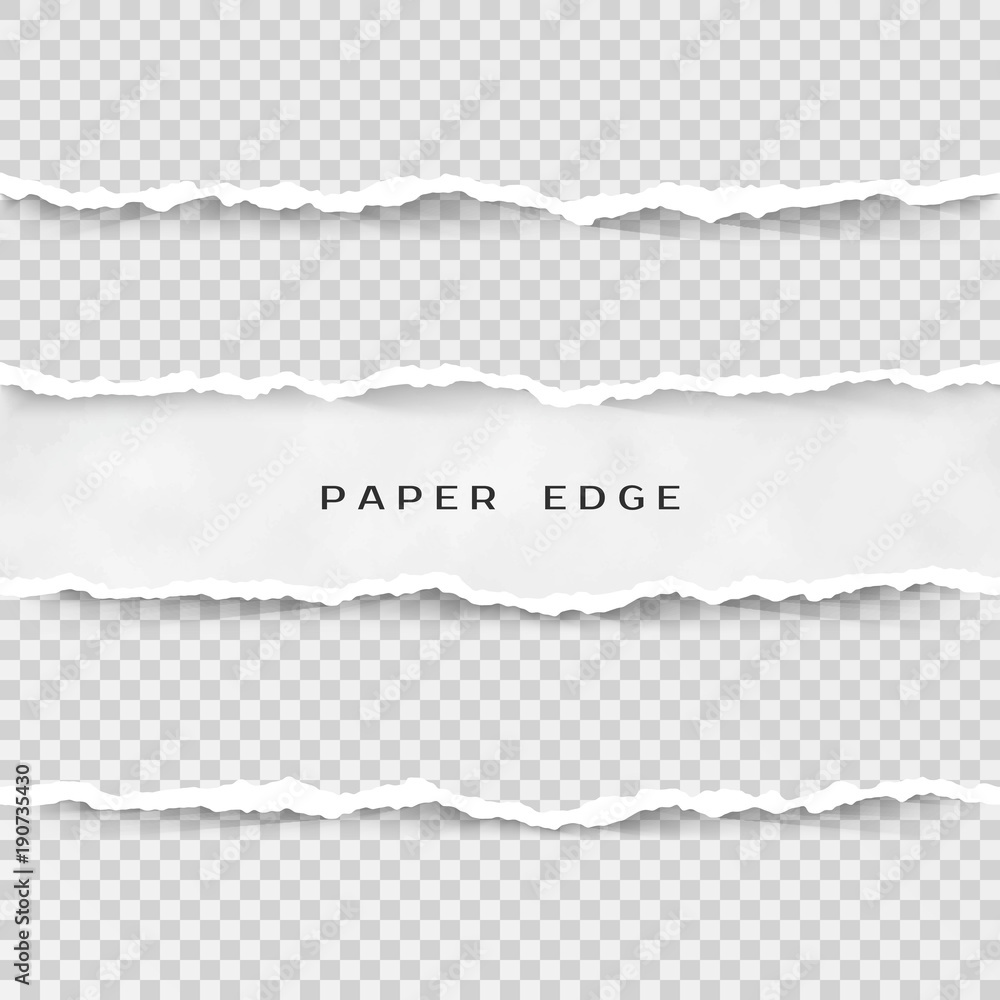 Set of torn paper stripes. Paper texture with damaged edge isolated on  transparent background. Vector illustration Stock Vector | Adobe Stock