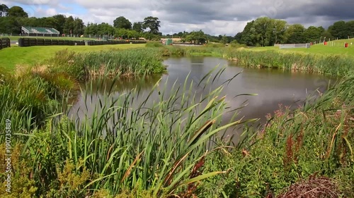 Pond at Oulton Park photo