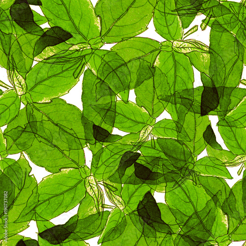 Basil Leafs Seamless Pattern. Repeatably Hand Drawn Background with Spice Herb and Basil.