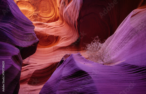 An Intimate Scene at Antelope Canyon (tumbleweed)