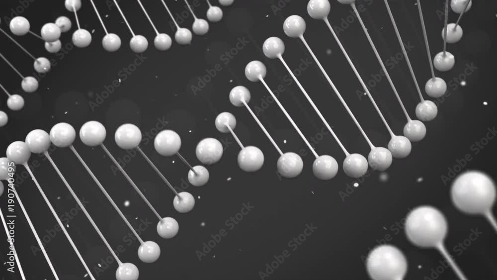 Fototapeta Połysk biały model nici DNA na czarnym tle