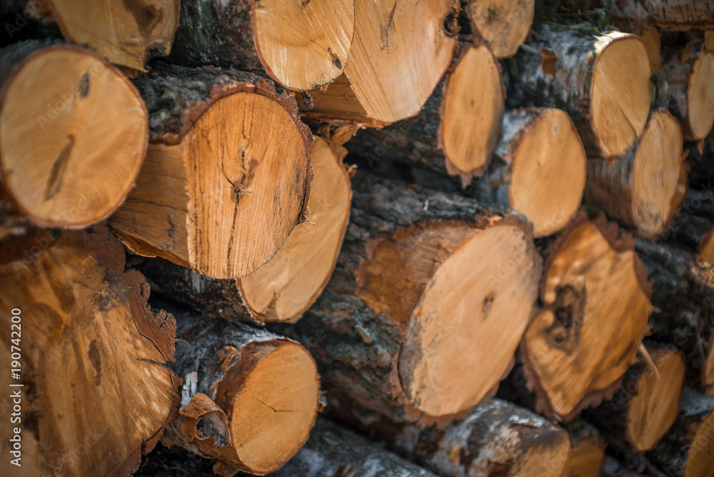 Stack of wood Stack of wood