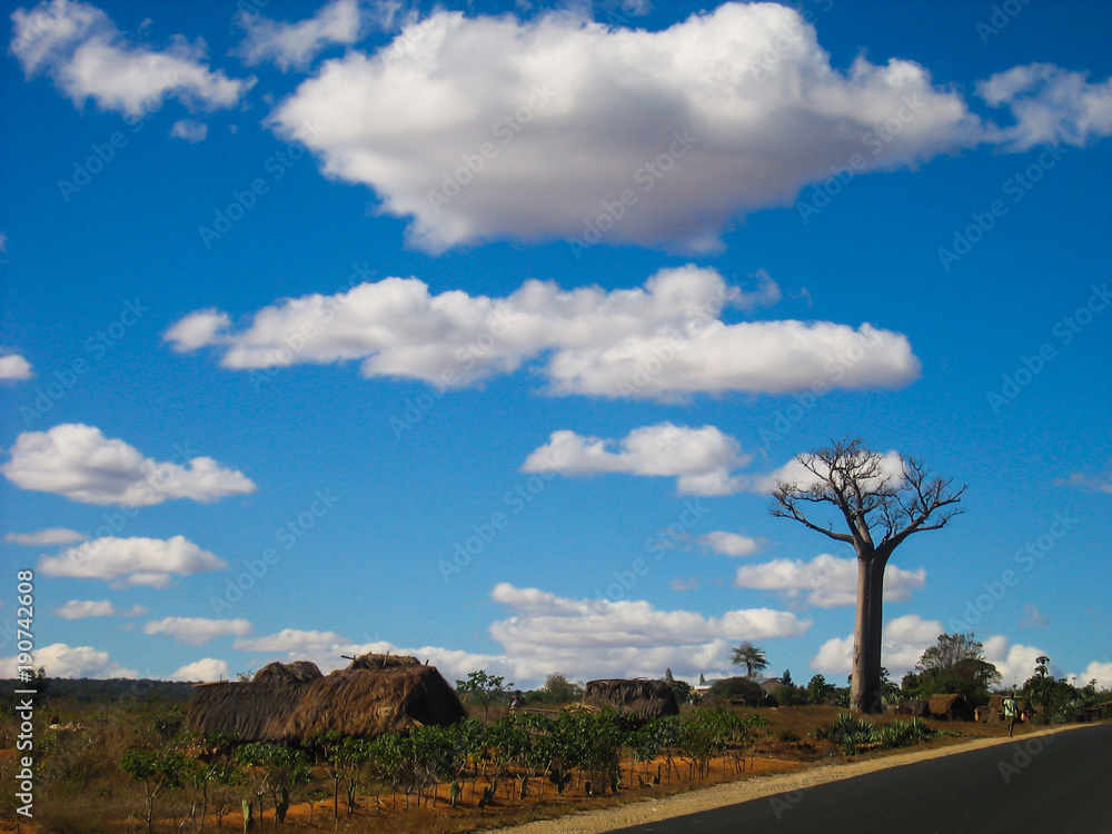 Small village next to a baobab in the countryside of Madagascar Small village next to a baobab in the countryside of Madagascar