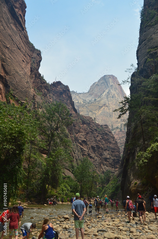 Nice Desfuladero With A Sinuous River Full Of Water Pools Where You Can Take A Good Bath In The Park Of Zion. Geology Travel Holidays June 25, 2017. Zion Park. Springdale. Utah. USA.EEUU. Nice Desfuladero With A Sinuous River Full Of Water Pools Where You Can Take A Good Bath In The Park Of Zion. Geology Travel Holidays June 25, 2017. Zion Park. Springdale. Utah. USA.EEUU.
