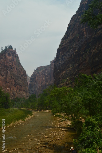 Nice Desfuladero With A Sinuous River Full Of Water Pools Where You Can Take A Good Bath In The Park Of Zion. Geology Travel Holidays June 25, 2017. Zion Park. Springdale. Utah. USA.EEUU.