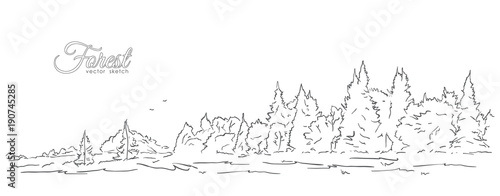 Hand drawn sketch with forest and birds. Line design.