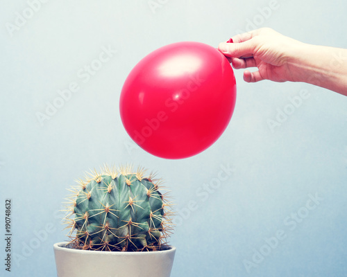 Cactus and red balloon, close up photo