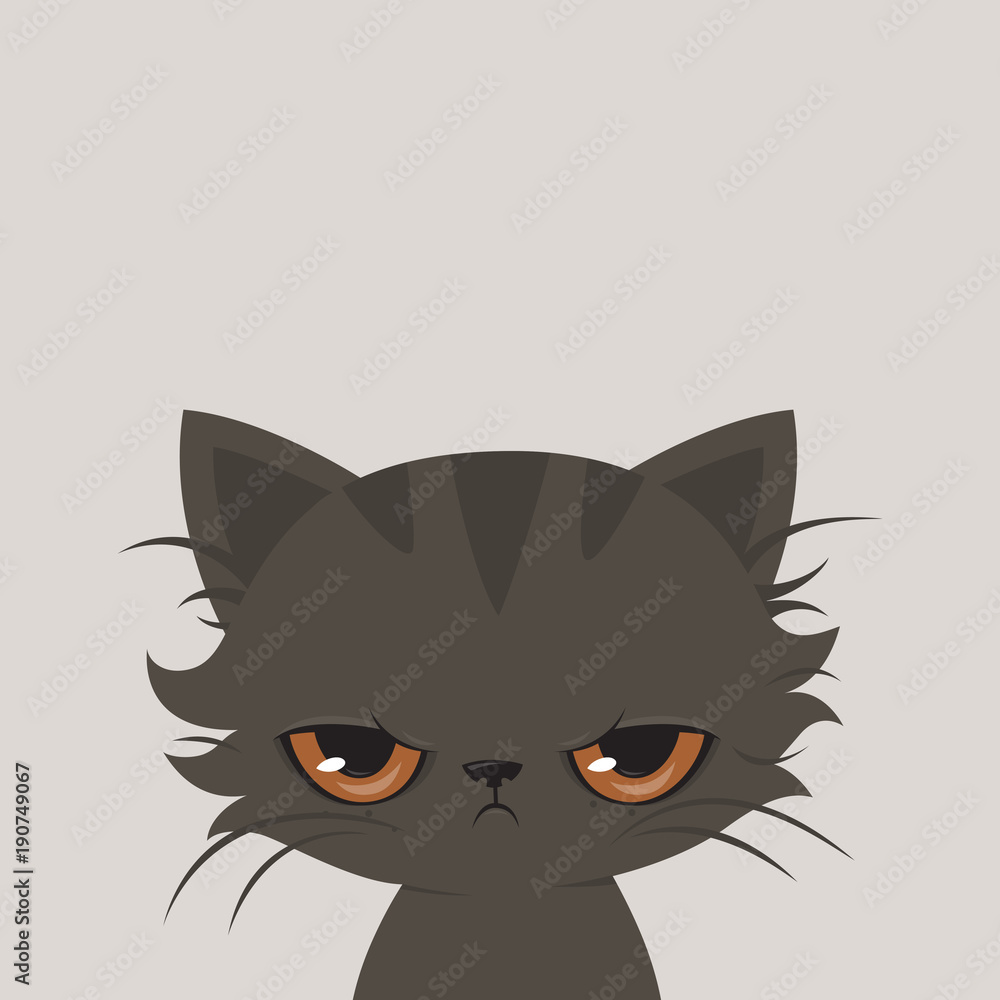 Angry cat cartoon. Cute cranky cat, vector.