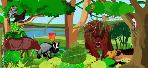 Northern forest and it's habitants, horizontal vector illustration.