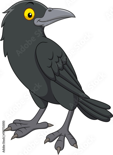 Cartoon crow isolated on white background