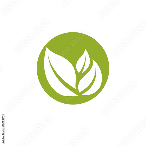 Vector graphic illustration of green leaves. Vegan conceptual abstract logotype for use in holistic medicine, rehabilitation or pharmacology.
