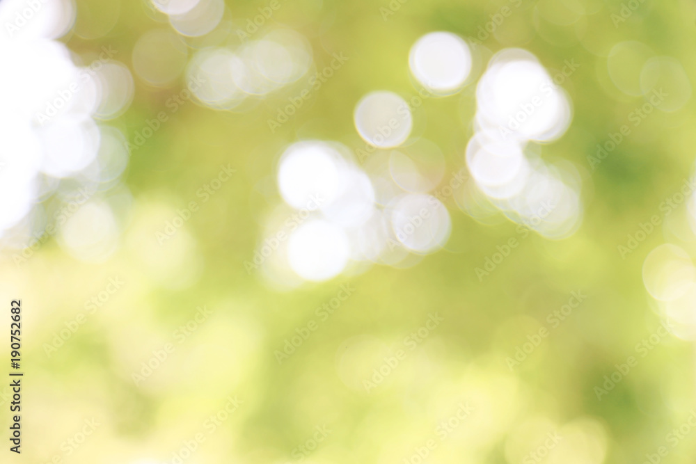 Natural green background with spring or summer Natural green background with spring or summer