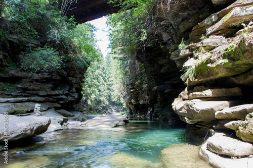 Landscapes of the mountains and mountain river and natural green forest.