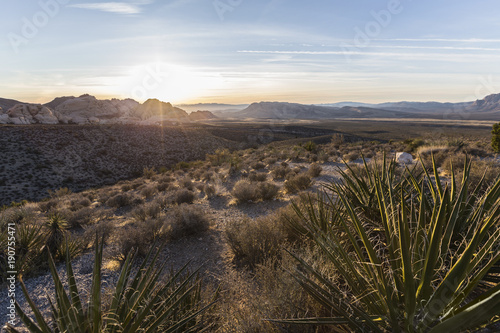 Dawn view from scenic loop ...