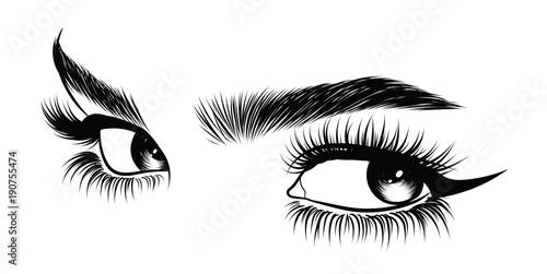Hand-drawn woman's sexy makeup look with perfectly perfectly shaped eyebrows and extra full lashes. Idea for business visit card, typography vector. Perfect salon look