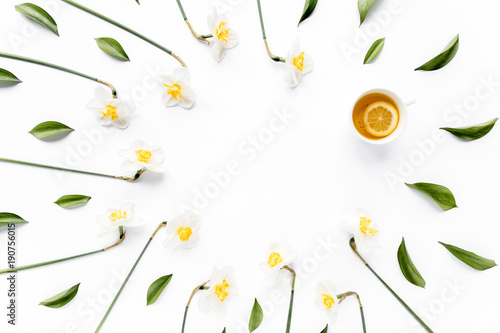 Round frame with white flower narcissus buds, branches and leaves isolated on white background. lay flat, top view