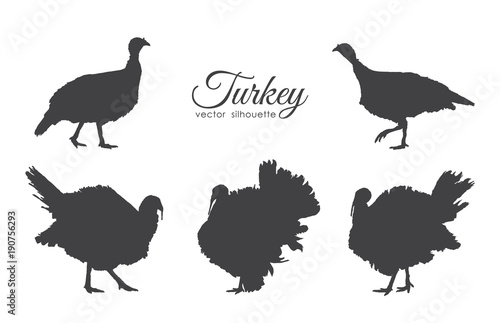 Set of turkeys silhouette isolated on white background.