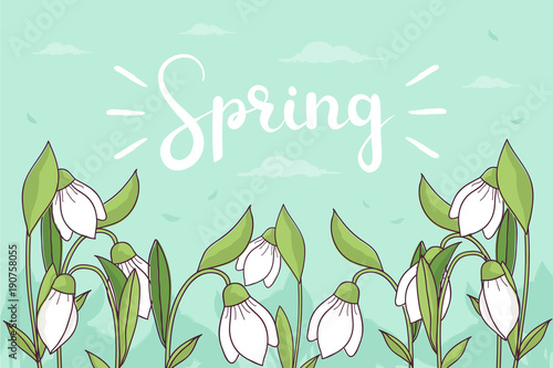 Spring Background with Snowdrops. 