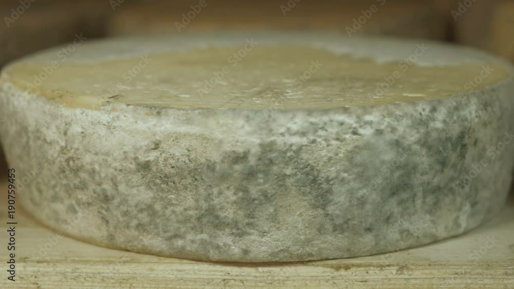 Cheese Making.Cheese with Mold Ripening on Wooden Shelves Cheese Making.Cheese with Mold Ripening on Wooden Shelves