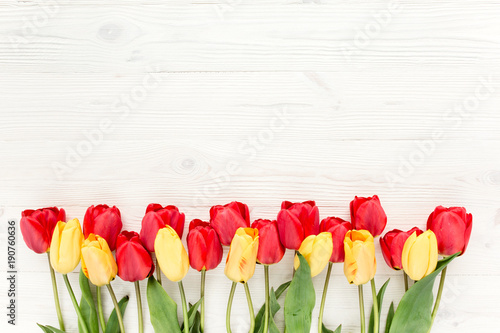  beautiful yellow red tulips isolated on a wooden white background. lay flat, top view