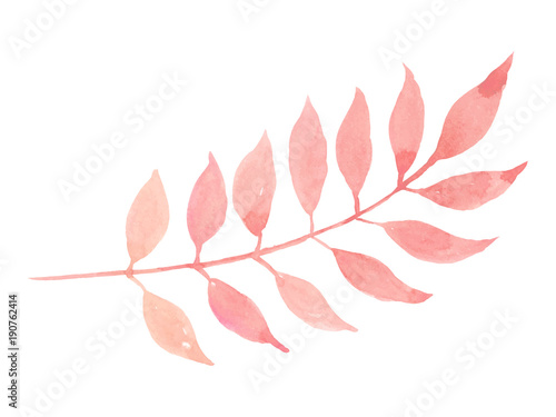 Isolated pastel pink leaf on white background