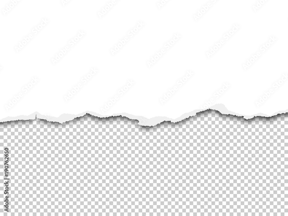 Vector torn a half sheet of white paper from the bottom Vector torn a half sheet of white paper from the bottom