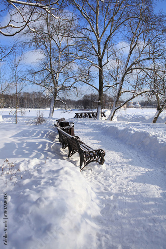 Photographing was carried out in the winter forest. Christmas and Christmas theme.