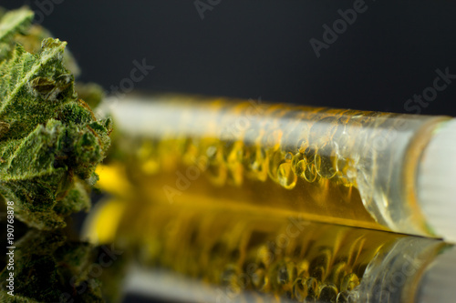 Medical Oil Cannabis - flower marijuana and oil cannabis  on the mirror background. 