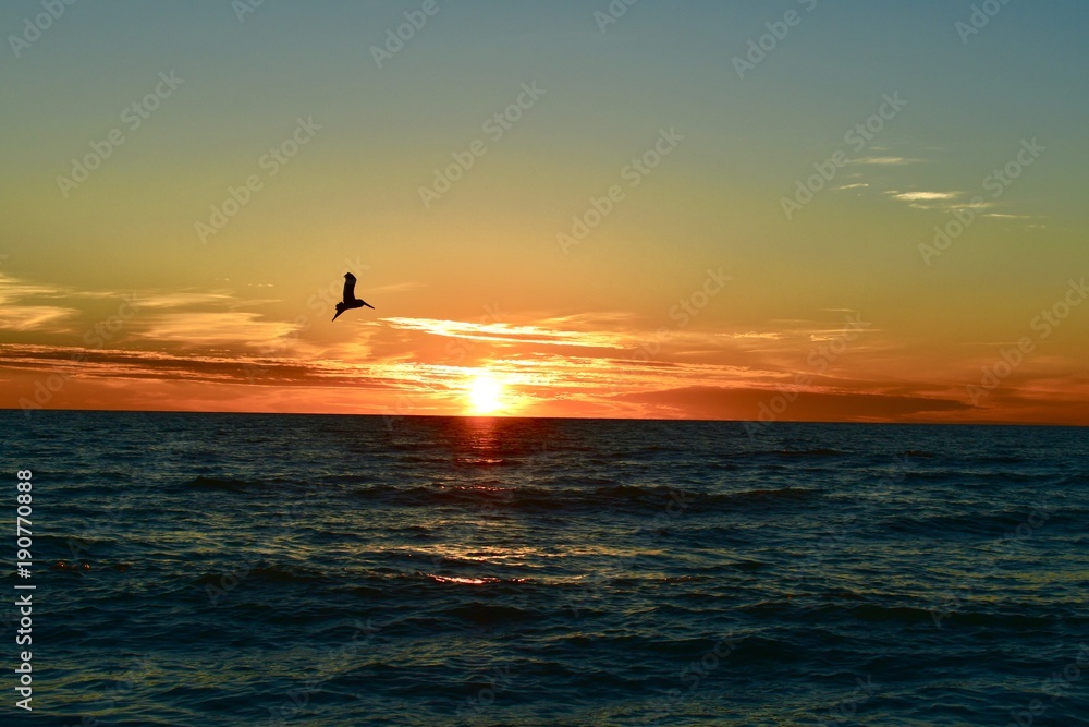 Fototapeta premium Sunset