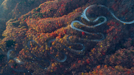 Fotobehang Japan Kronkelende bergweg in Nikko Japan  © oneinchpunch
