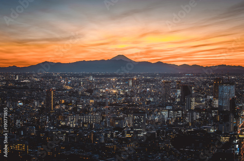 Tokyo skyline and buildings from above, view of the Tokyo prefecture with fuji mount in the background