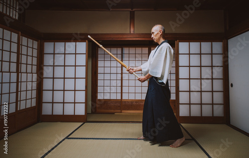 Senior martial art master in his dojo