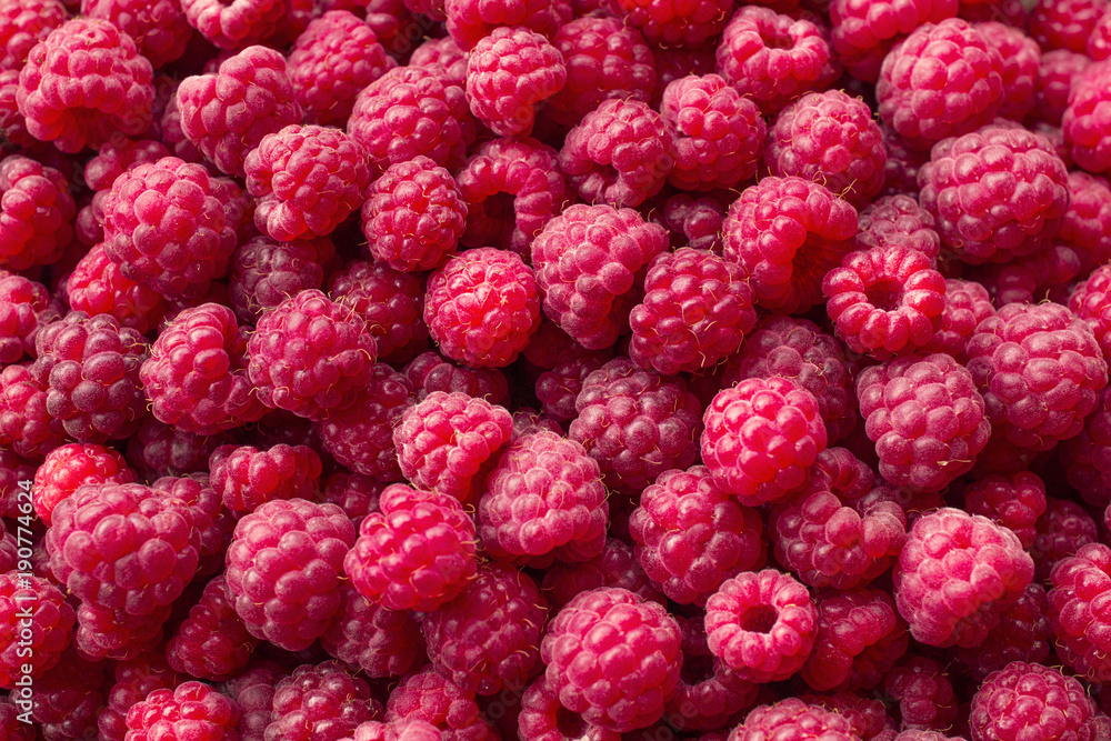 naturalistic background of isolated raspberries scattered all over the plane, bright, juicy background, wallpaper naturalistic background of isolated raspberries scattered all over the plane, bright, juicy background, wallpaper