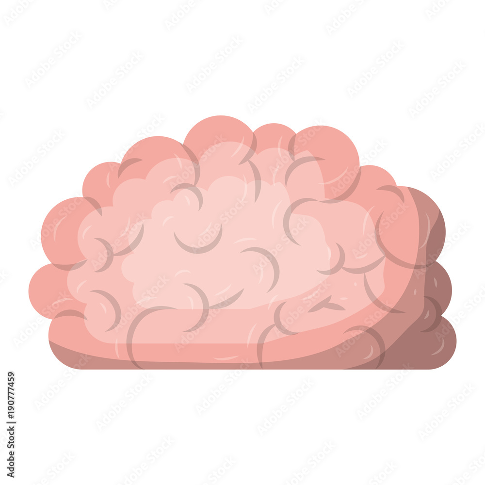 brain science mind intelligence mental design creative think vector illustration brain science mind intelligence mental design creative think vector illustration