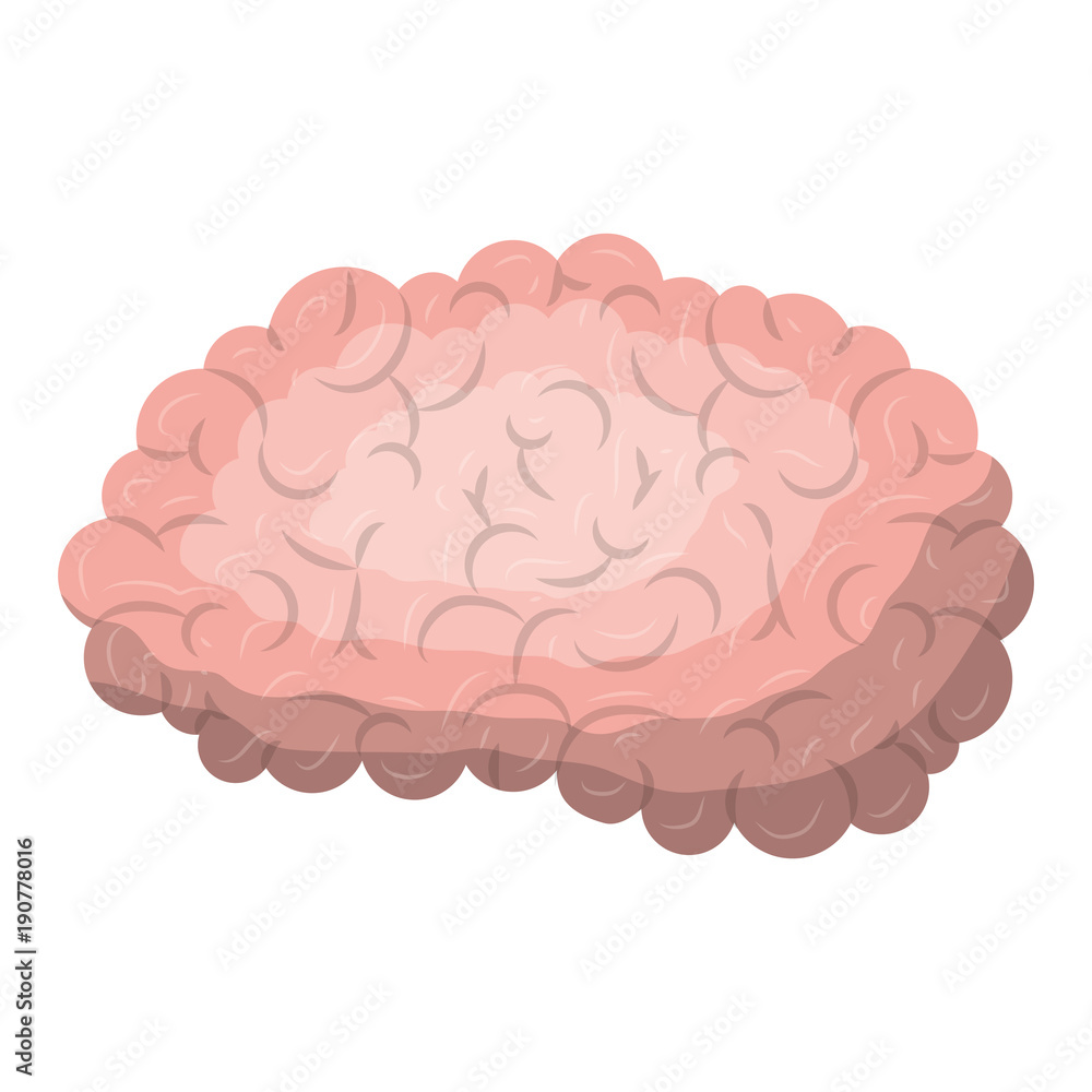 brain science mind intelligence mental design creative think vector illustration brain science mind intelligence mental design creative think vector illustration