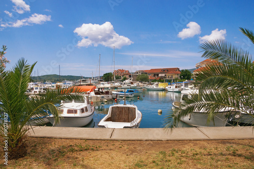 Fishing boats in harbor. View of Tivat town and Marina Kalimanj, Montenegro photo