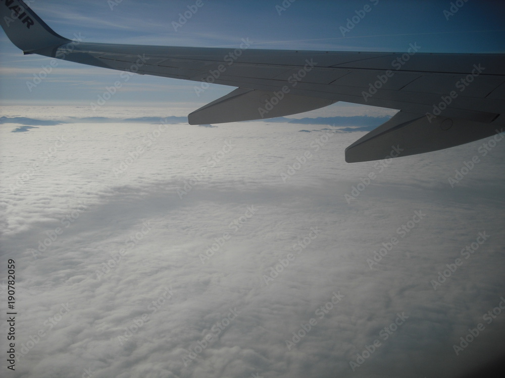 volo volo